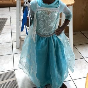 Elsa Costume